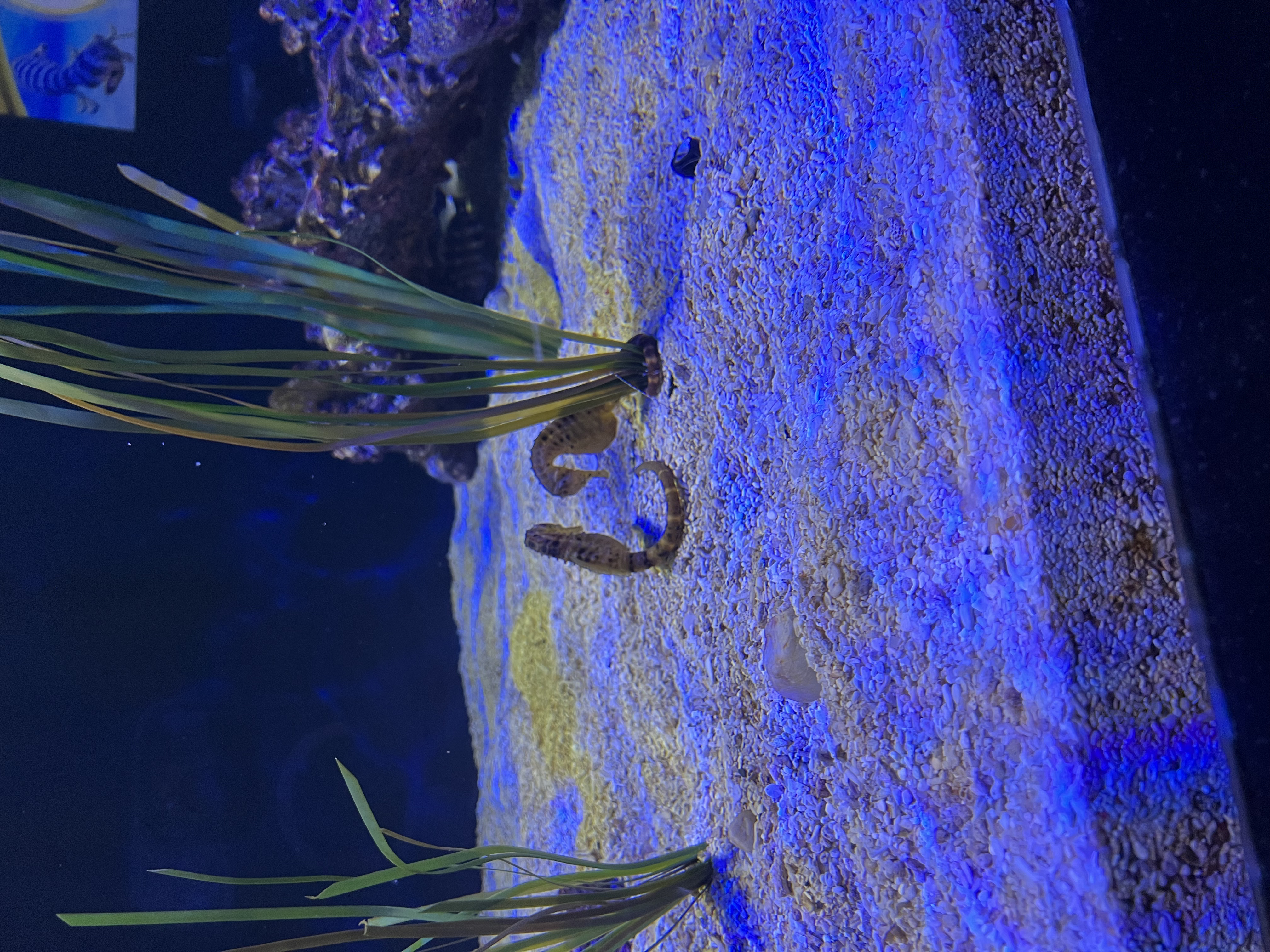 ./2024/10 - Myrtle Beach/IMG_3078.jpg